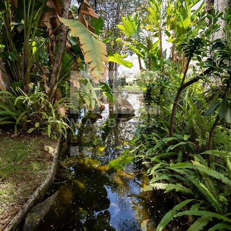 Amazing Apartment ,Center Of Marbella, Beach 338 Ngoại thất bức ảnh