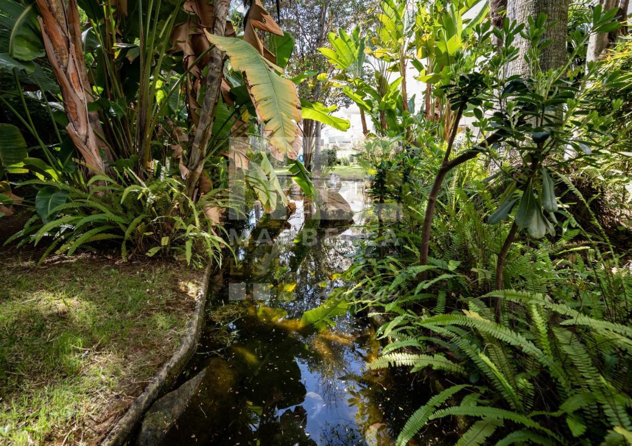 Amazing Apartment ,Center Of Marbella, Beach 338 Ngoại thất bức ảnh
